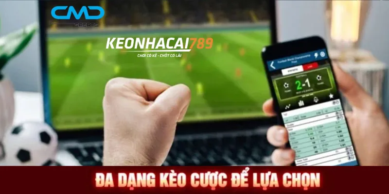 CMD Sports – Bắt nhịp trận đấu, cược chuẩn từng khoảnh khắc CMD Sports