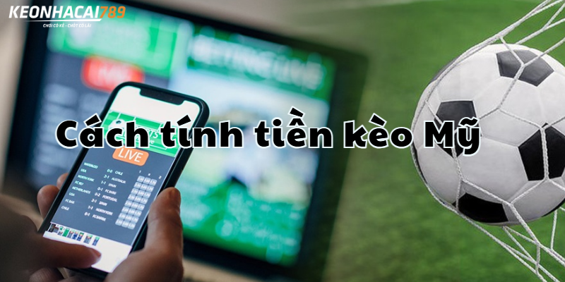 Kèo Mỹ Là Gì - Cách Đọc Odds +120, -150 Không Nhầm Lẫn cách tính tiến cá độ kèo mỹ là gì