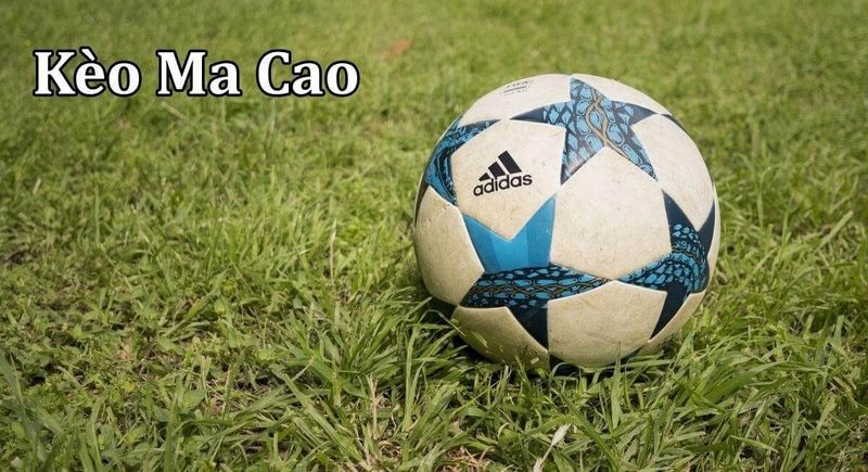 Kèo Macao Là Gì? Cách Nhận Diện, Đọc Chuẩn Và Tránh Sập Kèo keo macao la gi kinh nghiem cho keo macao
