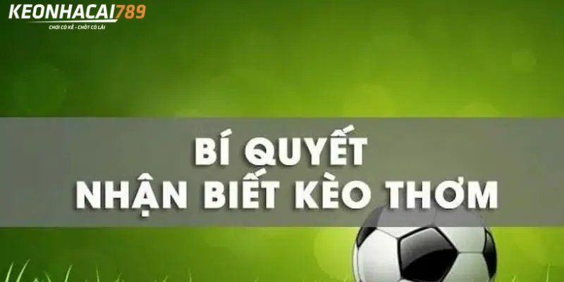 Kèo Thơm Là Gì? Cảnh Giác Với Tỷ Lệ Trông Có Vẻ Ngon bí quyết nhận biết kèo thơm