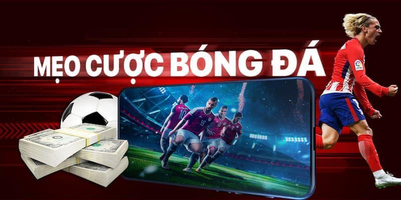 Trang chủ Lưu ý khá cá độ để tránh sai lầm