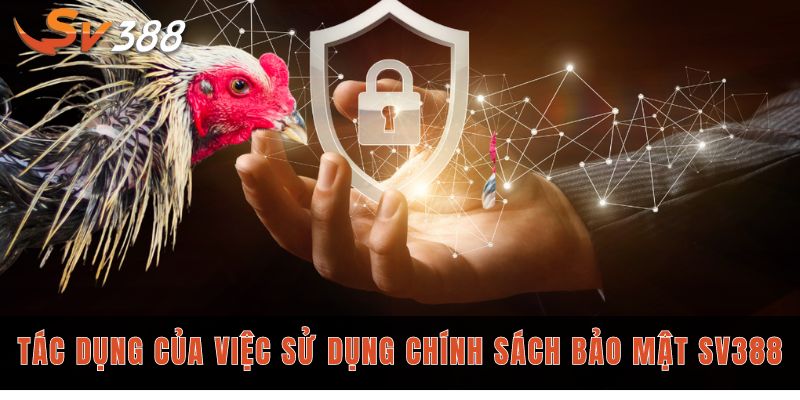 SV388 – Trải Nghiệm Đá Gà Chuẩn Trường Gà Thật tac dung cua viec su dung chinh sach bao mat sv388